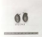 Click for 1 image(s) for this accession. FRUIT